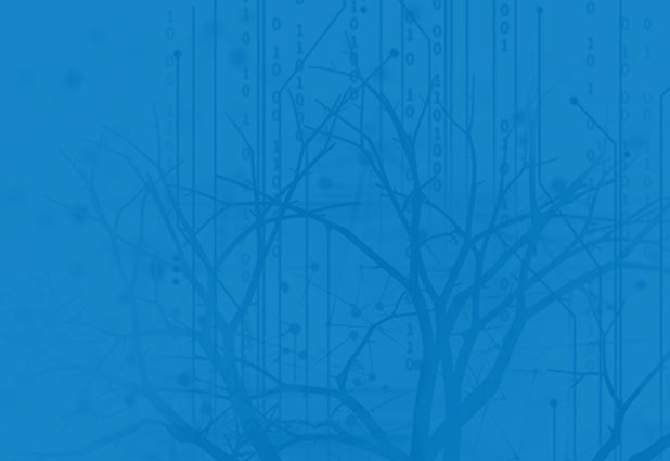 {Background image}